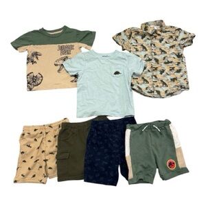 Boys Dinosaur T-Shirt and Shorts Bundle , 4T